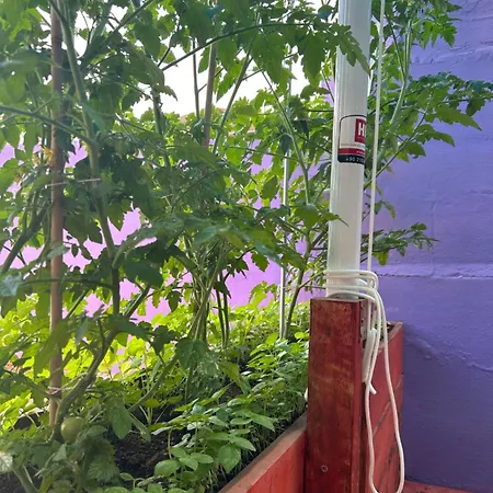 Хостел A07 Алания